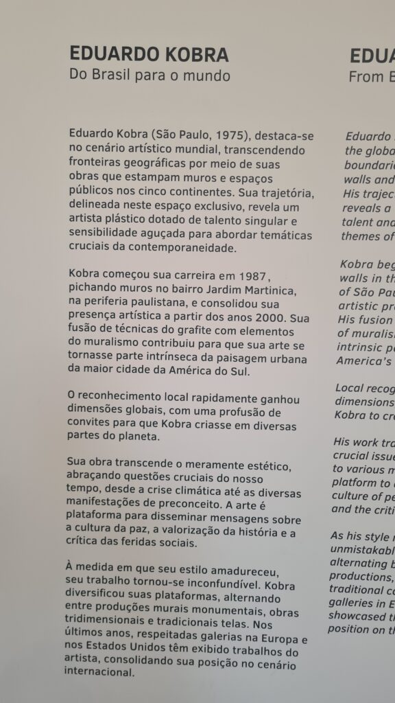 Atelier Kobra - Sobre o artista