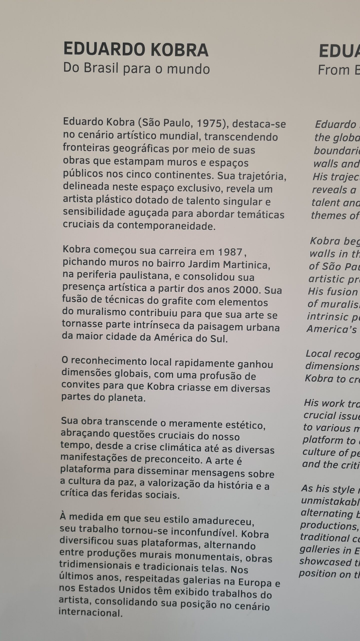 Atelier Kobra - Sobre o artista