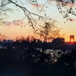 Amanhecer em NY, 1999